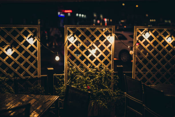 istock Glowing light bulbs in garden 1033905750
