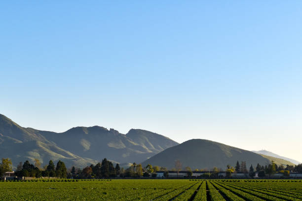 istock Farmland with mountains 1033906204