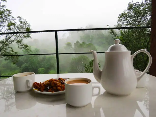 An ideal weekend with warm cup of tea and pakoras in a hillside resort in Kasauli, Shimla
