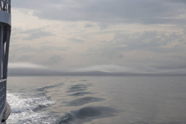 istock Whale watching in Tadoussac 1033924688