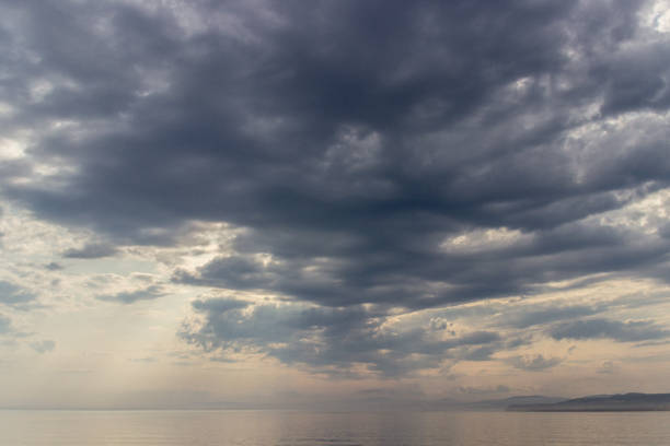 istock Whale watching in Tadoussac 1033924932