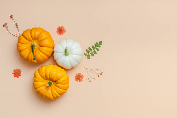 cornice fatta di zucche fiori secchi e foglie - pumpkin autumn october squash foto e immagini stock