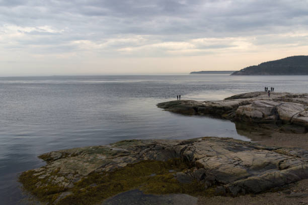 istock Whale watching in Tadoussac 1033939172