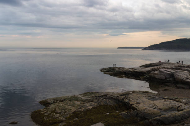 istock Whale watching in Tadoussac 1033944322