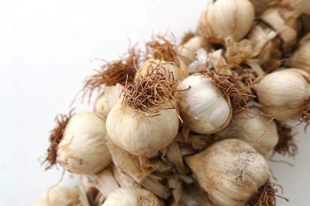 istock a healing vegetable garlic, close-up garlic, on white ground, 1033944548