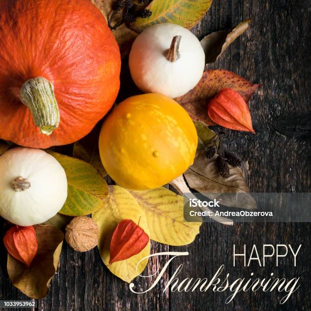 Autumn Harvest And Holiday Still Life Happy Thanksgiving Background Selection Of Various Pumpkins On Dark Wooden Background Autumn Vegetables And Seasonal Decorations Stock Photo - Download Image Now
