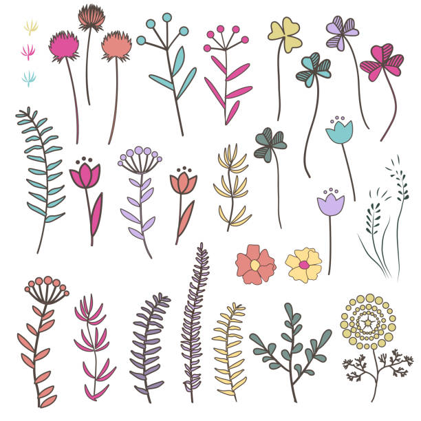 ilustrações de stock, clip art, desenhos animados e ícones de collection with doodle flowers and herbs with leaves - flower flourishes paint backgrounds