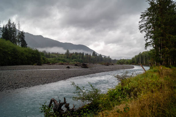 istock Hoh River flowing through Olympic National Park 1033971266