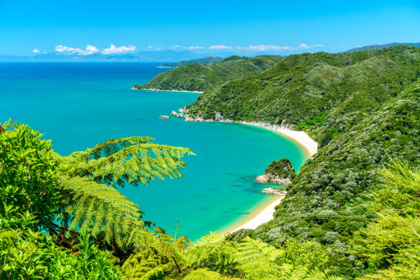 panorama of a beach, abel tasman national park, new zealand 9 panoramic view of a tropical beach with turquoise water and white sand in abel tasman national park, new zealand abel tasman national park stock pictures, royalty-free photos & images