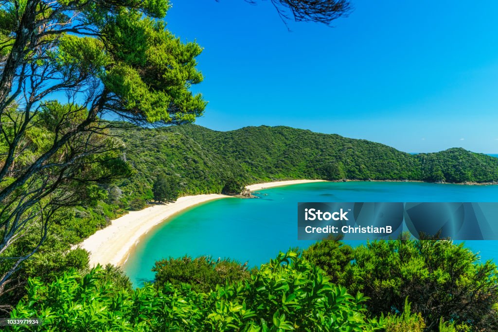 panorama of a beach, abel tasman national park, new zealand 2 panoramic view of a tropical beach with turquoise water and white sand in abel tasman national park, new zealand New Zealand Stock Photo