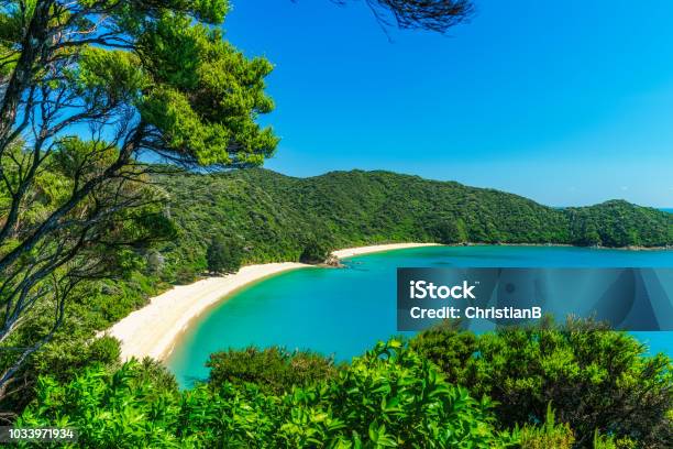 Panorama Of A Beach Abel Tasman National Park New Zealand 2 Stock Photo - Download Image Now