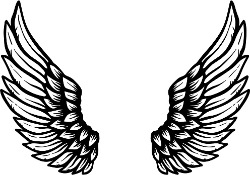 Hand drawn eagle wings illustration isolated on white background. Design element for poster, card, banner, sign, emblem, t shirt. Vector illustration