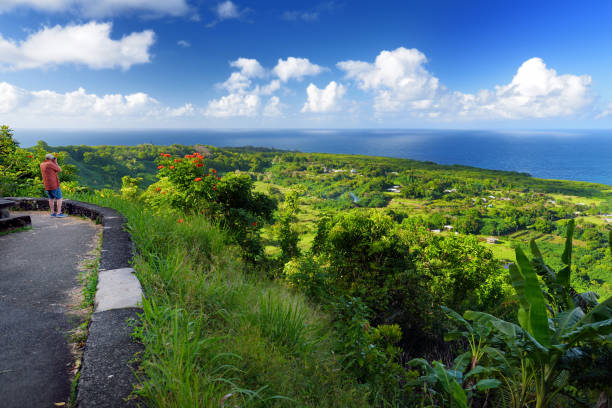 hermosas vistas de la costa norte de maui visto de famoso camino sinuoso a hana. hawaii - hana fotografías e imágenes de stock