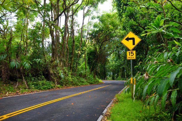 famous route à hana empreint de ponts d’une voie étroites, virages et une vue incroyable de l’île, maui, hawaii - hawaii islands hana maui curve photos et images de collection