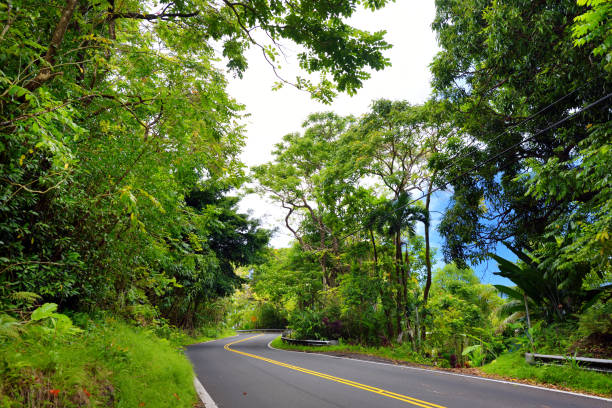 famous route à hana empreint de ponts d’une voie étroites, virages et vues incroyable île sinueuse route côtière avec vue sur les falaises, des cascades et des milles de forêt tropicale. maui, hawaii - hawaii islands hana maui curve photos et images de collection