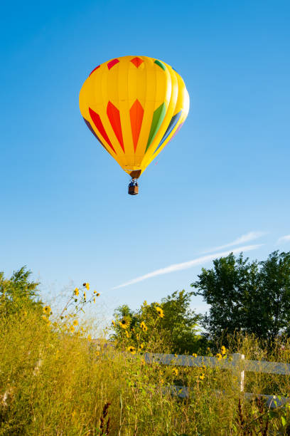 istock Hot air balloon in field 1034003350