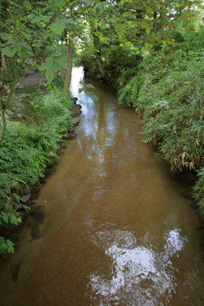 istock Kappabuchi pool in Tono, Iwate, Japan 1034032950