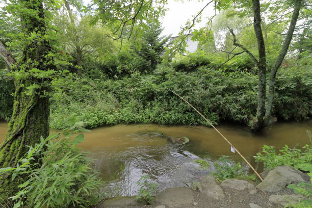 View over a part of the beautiful public park in Bad Dürkheim with a small creek between saline and a water wheel.