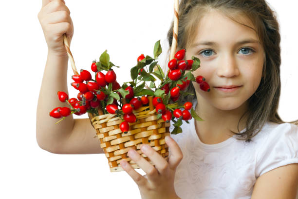Cute little girl child with basket full of rose-ship