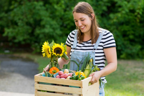 istock Market Food 1034035398
