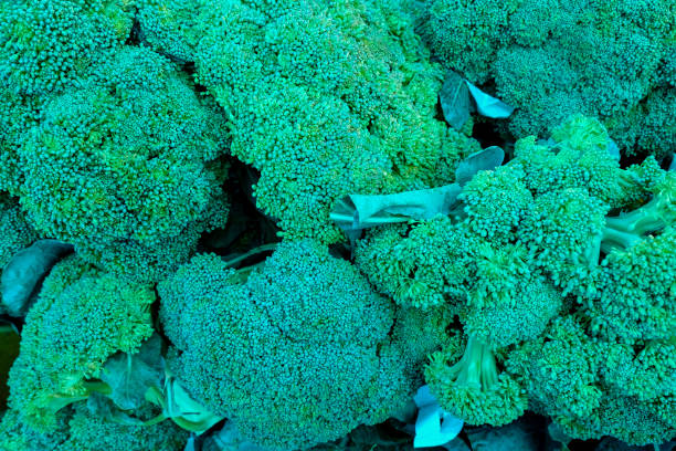 istock Healthy Green Organic Raw Broccoli Florets Ready for Cooking 1034035748