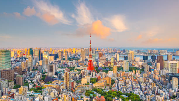 istock Tokyo skyline  with Tokyo Tower in Japan 1034036028