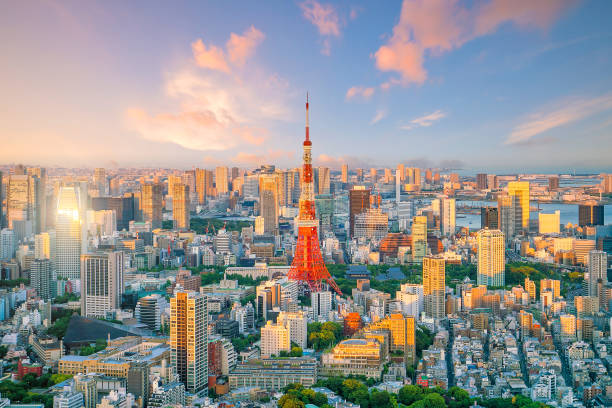 istock Tokyo skyline  with Tokyo Tower in Japan 1034036052