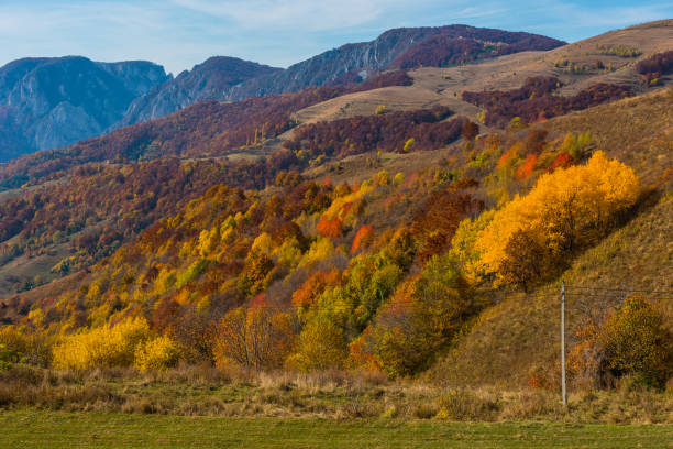 istock Autumn scene in the mountains 1034036076