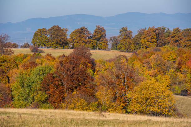 istock Colorful autumn landscape 1034036106
