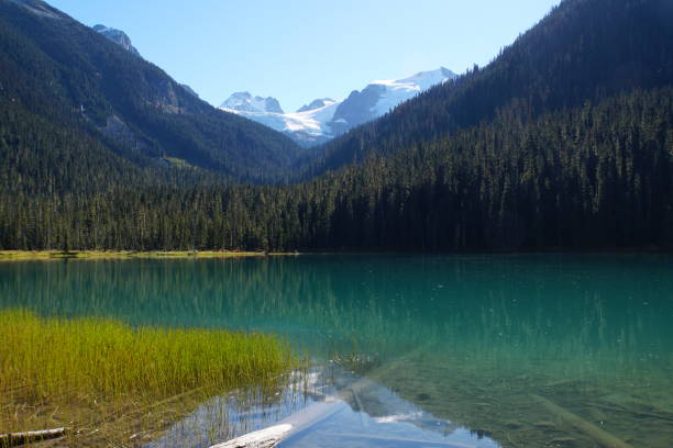 istock Lower Joffre Lake, Canada 1034052316