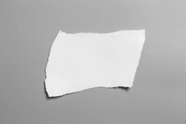 istock white torn paper on gray background. collection paper rip 1034060060