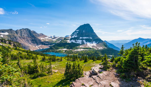 logan pass sentier dans le parc national des glaciers sur la journée ensoleillée, montana, usa. - montana us glacier national park glacier scenics photos et images de collection