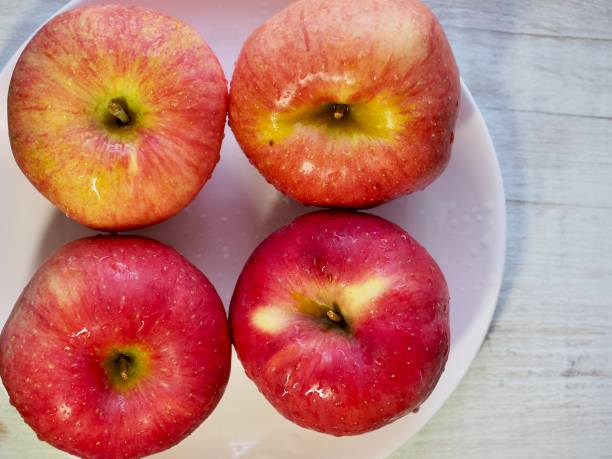 istock Autumn apple of Korea 1034063550