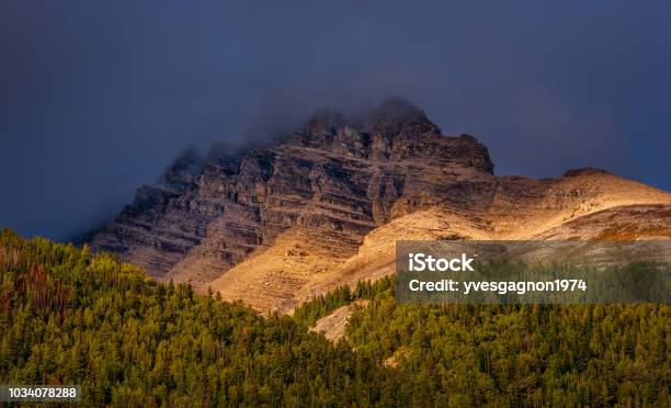 Foto de Montanha Rochosa Do Sol e mais fotos de stock de Alberta - Alberta, Amarelo, Arbusto