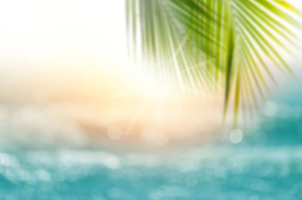 istock Blurred tropical sea at sunset. 1034085994