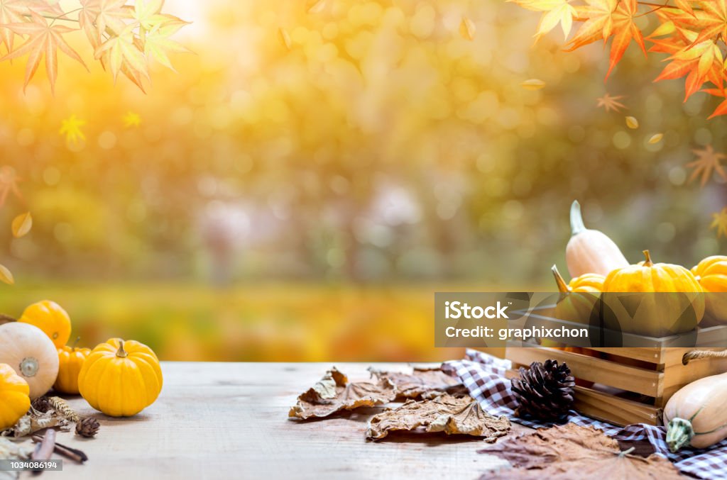 Thanksgiving with fruit and vegetable on wood in autumn and Fall harvest cornucopia season Thanksgiving - Holiday Stock Photo