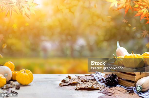 Thanksgiving With Fruit And Vegetable On Wood In Autumn And Fall Harvest Cornucopia Season Stock Photo - Download Image Now