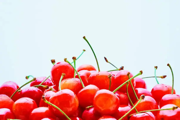 Freshness of cherries