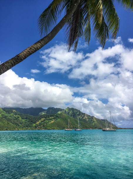 istock Achored in turquoise water 1034108008