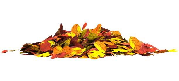 istock Autumn leaves isolated on white background 3D illustration 1034108332