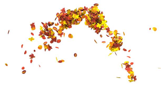 istock Autumn leaves isolated on white background 3D illustration 1034108348