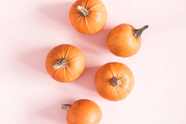 istock Autumn composition. Pumpkins on pastel pink background. Autumn, fall, halloween concept. Flat lay, top view, square 1034111054