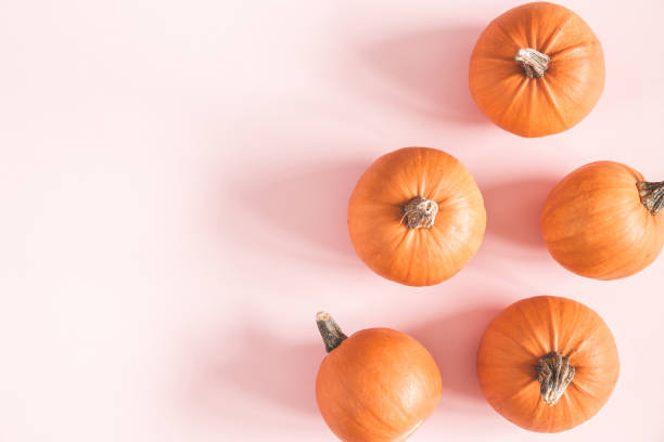 istock Autumn composition. Pumpkins on pastel pink background. Autumn, fall, halloween concept. Flat lay, top view, copy space 1034111062
