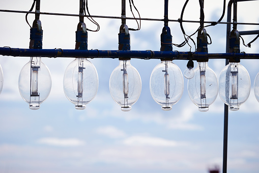 Light bulbs of ship