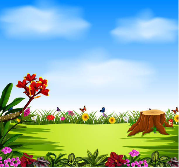 illustrations, cliparts, dessins animés et icônes de la belle vue avec le ciel bleu et le jardin - tulip field flower cloud