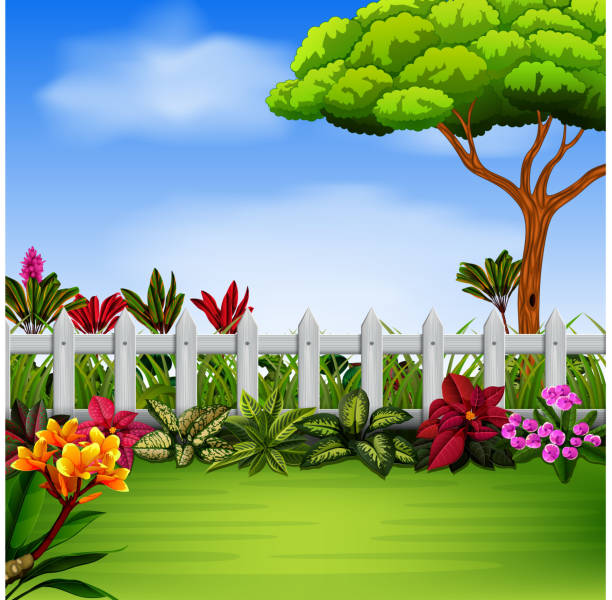 the beautiful garden with the fance and flowers illustration of the beautiful garden with the fance and flowers spider plant animal stock illustrations