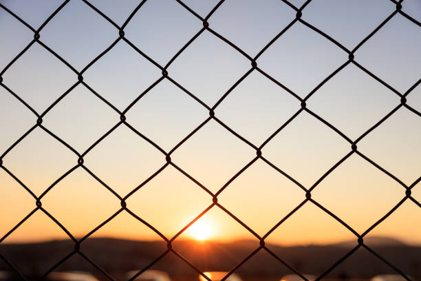 istock Wire mesh fence on a sunset background 1034131254