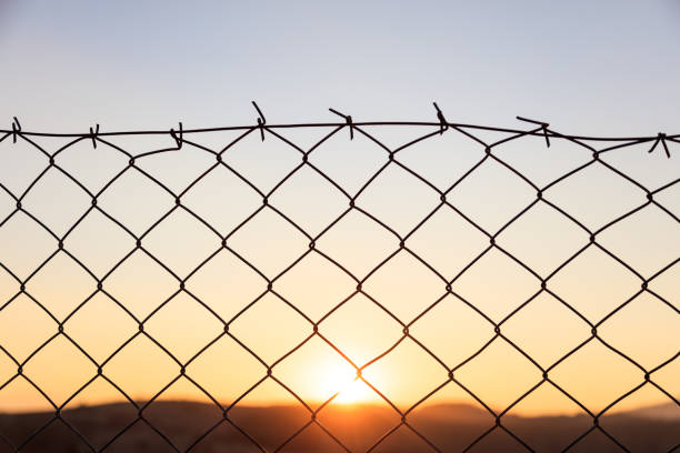 istock Wire mesh fence on a sunset background 1034131270