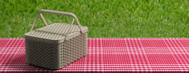 istock Picnic basket on red checkered tablecloth, green grass background, banner, copy space. 3d illustration 1034134902