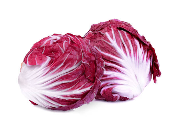 dos radicchio rojo entero o ensalada rojo aislado sobre fondo blanco - chicory fotografías e imágenes de stock